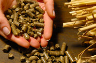 free Traps Green biomass boiler quotes